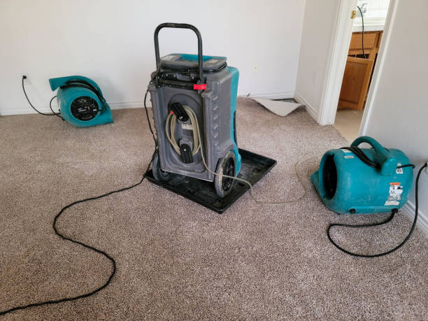 Best Residential water damage restoration  in Alliance, NE