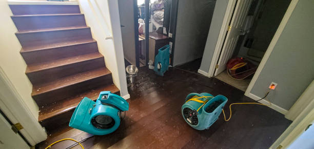 Best Water damage restoration near me  in Alliance, NE