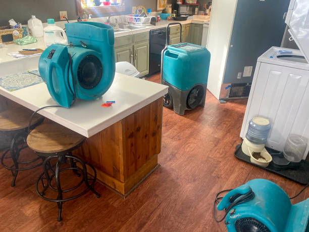 Best Emergency water damage restoration  in Alliance, NE