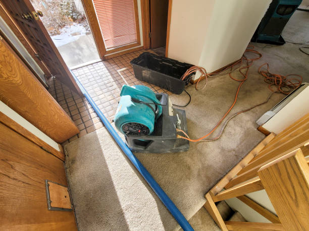 Best 24/7 water damage repair  in Alliance, NE