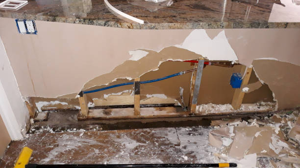 Best Mold removal after water damage  in Alliance, NE