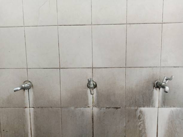 Best Basement water damage restoration  in Alliance, NE
