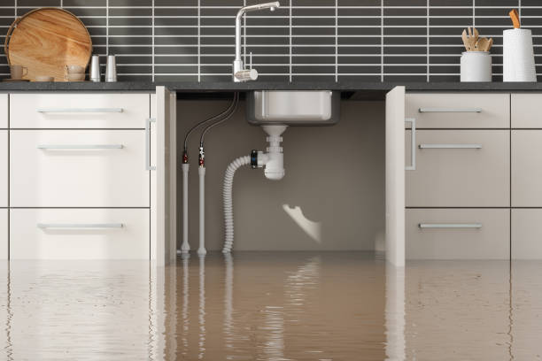 Best Flood damage cleanup  in Alliance, NE