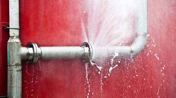  Alliance, NE Water damage restoration Pros